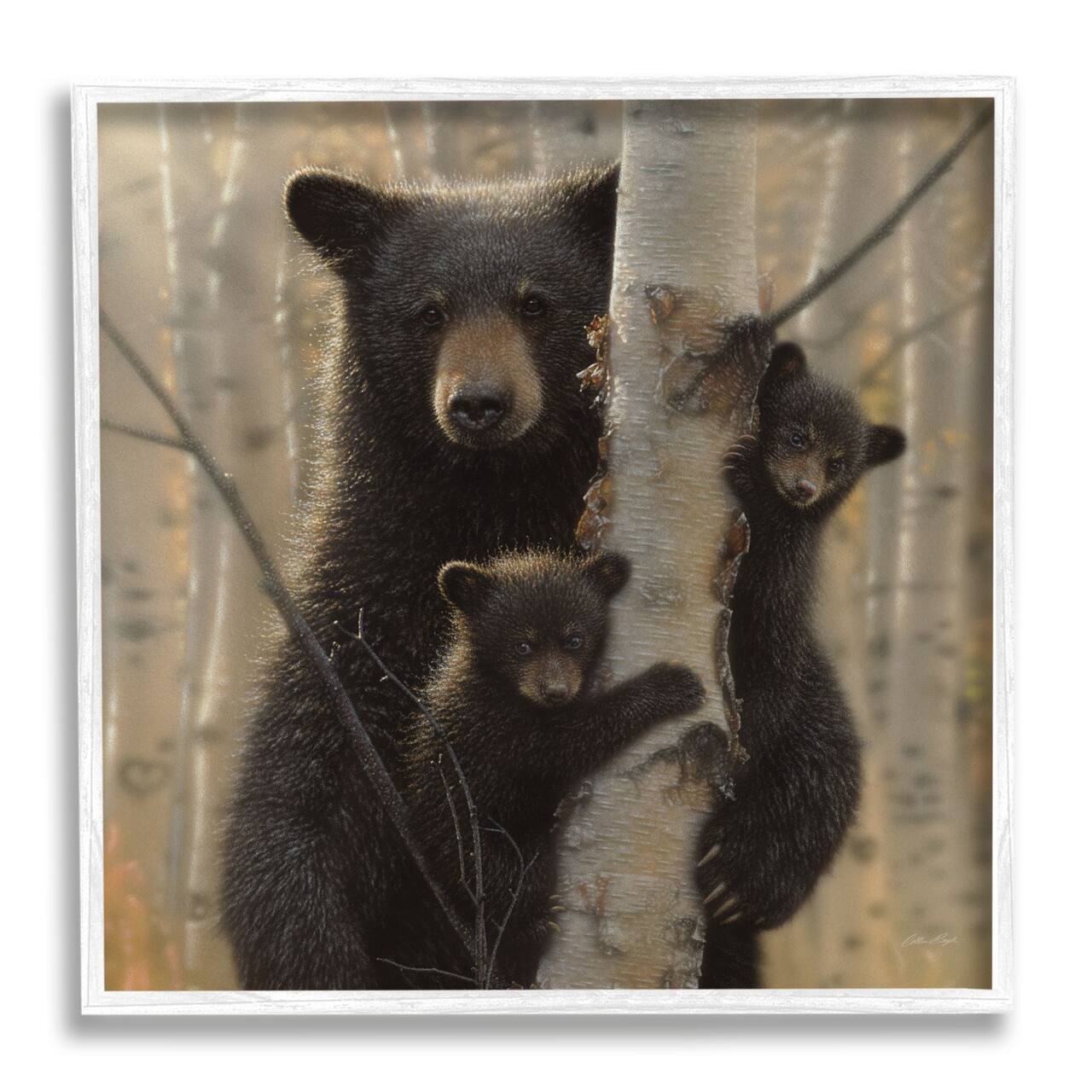 Stupell Industries Black Bear and Cubs Soft Birch Tree Forest Framed Wall Art